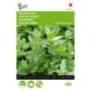 Kruizemunt - Mentha Spicata 2 Kruizemunt - Mentha Spicata -DCM Verkoopwinkel kruizemunt mentha spicata 1646840313 37 600