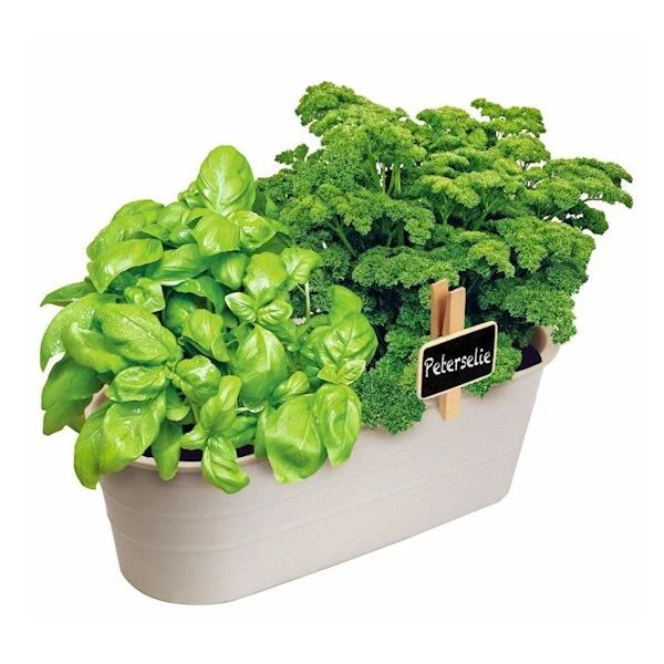 Kweekset Basilicum En Peterselie 4 Kweekset Basilicum En Peterselie - Afbeelding 2
