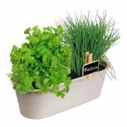 Kweekset Bieslook En Bladkoriander 5 Kweekset Bieslook En Bladkoriander -DCM Verkoopwinkel kweekset bieslook en bladkoriander 1646840379 1459 600