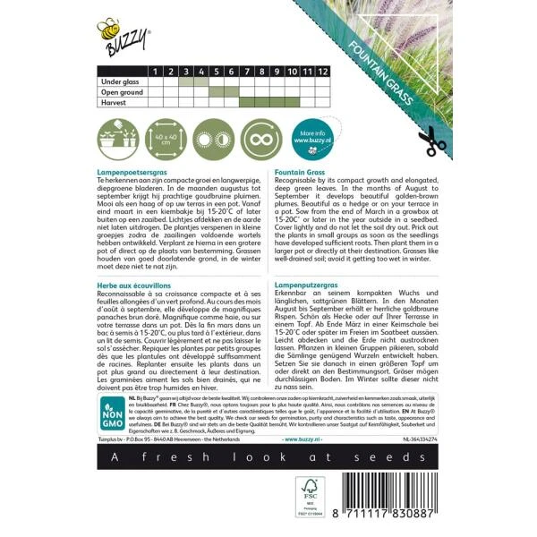 Lampenpoetsersgras - Pennisetum Alopecuroides 4 Lampenpoetsersgras - Pennisetum Alopecuroides - Afbeelding 2