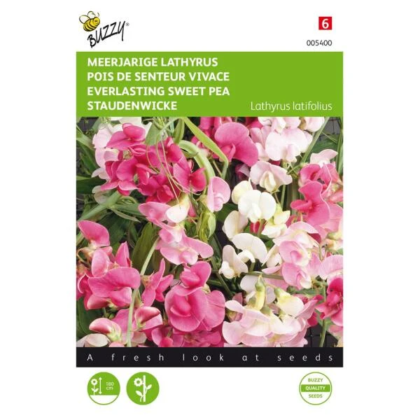Lathyrus Latifolius (kleurenmengsel) 3 Lathyrus Latifolius (kleurenmengsel)