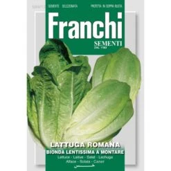 Lattuga Romana Bionda - Sla Wonder Der Vier Jaargetijden