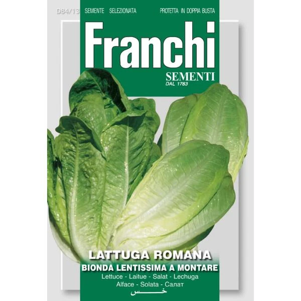 Lattuga Romana Bionda - Sla Wonder Der Vier Jaargetijden 3 Lattuga Romana Bionda - Sla Wonder Der Vier Jaargetijden