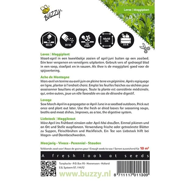 Lavas Of Maggikruid - Levisticum Officinalis 4 Lavas Of Maggikruid - Levisticum Officinalis - Afbeelding 2