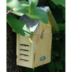 ESSCHERT DESIGN Lieveheersbeestkastje- - Grenenhout -DCM Verkoopwinkel lieveheersbeestkast 1484052739 3 600