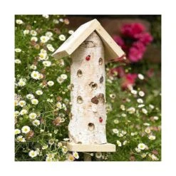 Lieveheersbeeststammetje Op Paal