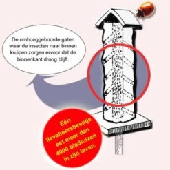 Lieveheersbeeststammetje Op Paal -DCM Verkoopwinkel lieveheersbeeststam berk 1484053499 2 600