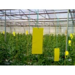 Lijmvangplaten - Set Van 5 Stuks -DCM Verkoopwinkel lijmvangplaten 1484052917 3 600