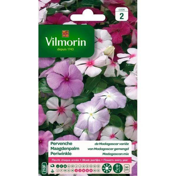 Maagdenpalm Van Madagascar - Vinca Rosea 3 Maagdenpalm Van Madagascar - Vinca Rosea