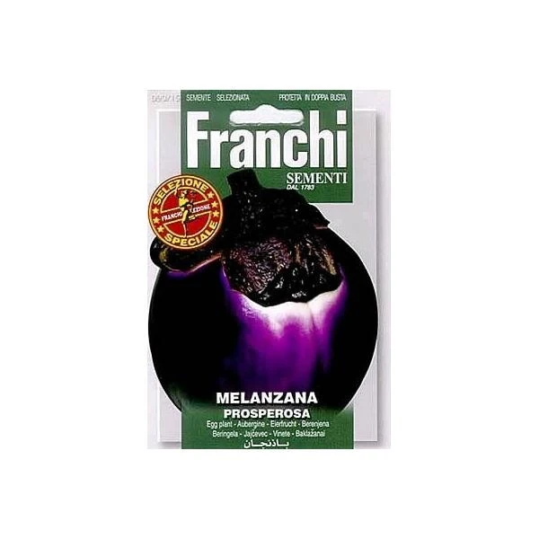 Melanzana Prosperosa - Ronde Aubergine 3 Melanzana Prosperosa - Ronde Aubergine