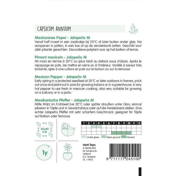 Mexicaanse Peper Jalapeño - Capsicum Annuum 4 Mexicaanse Peper Jalapeño - Capsicum Annuum - Afbeelding 2