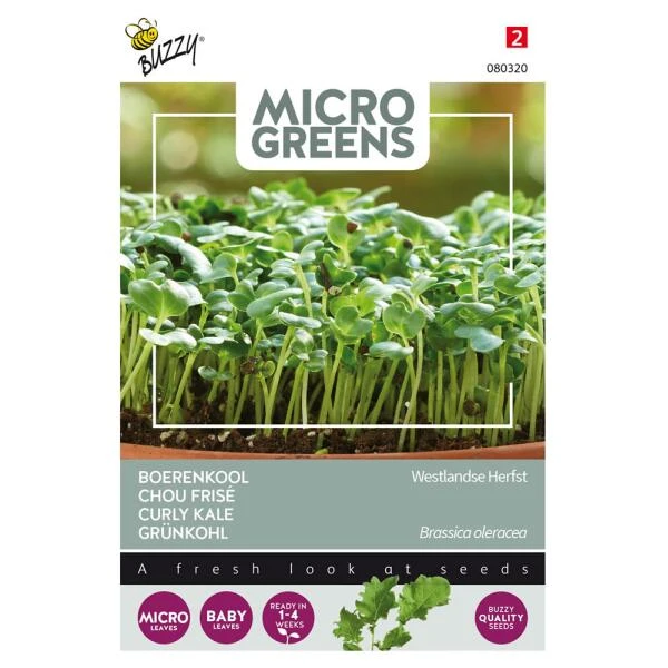 Microgreens Boerenkool Westlandse Herfst 3 Microgreens Boerenkool Westlandse Herfst