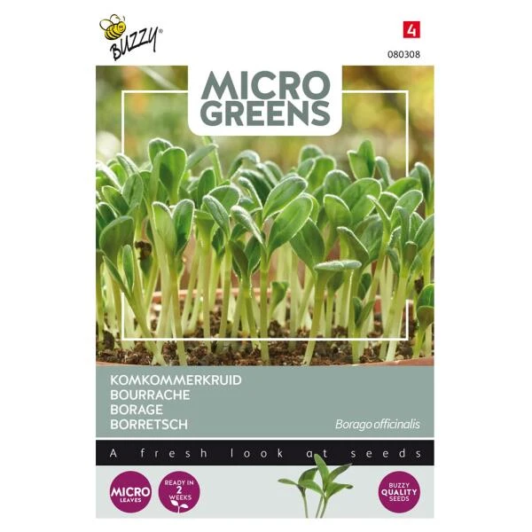 Microgreens Borage Komkommerkruid 3 Microgreens Borage Komkommerkruid