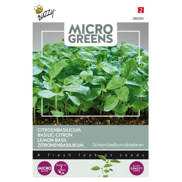 Microgreens Citroenbasilicum 3 Microgreens Citroenbasilicum