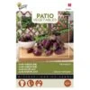 Mini-aubergine Patio Baby F1 -DCM Verkoopwinkel miniaubergine patio baby f1 1646840390 1626 600