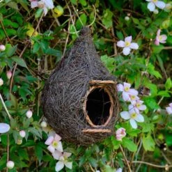Nestbuidel Roodborst - Wicker