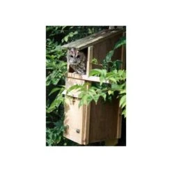 Uilenkast Bosuil - Cederhout -DCM Verkoopwinkel nestkast bosuil 1484053762 4 600