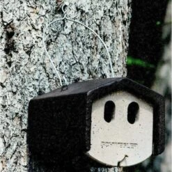 Nestkast Houtbeton - 2 Invliegopeningen - Schwegler -DCM Verkoopwinkel nestkast houtbeton 2 invliegopeningen 1552136054 1 600