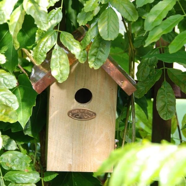 ESSCHERT DESIGN Nestkast Winterkoning Met Koperen Dak 4 ESSCHERT DESIGN Nestkast Winterkoning Met Koperen Dak - Afbeelding 2