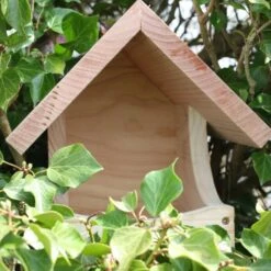 Nestkast Voor Merel En Lijster 5 Nestkast Voor Merel En Lijster -DCM Verkoopwinkel nestkast merel en lijster 1672667575 1 600