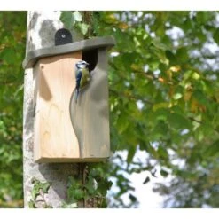 Nestkast Met Gebogen Invliegopening By Simon King