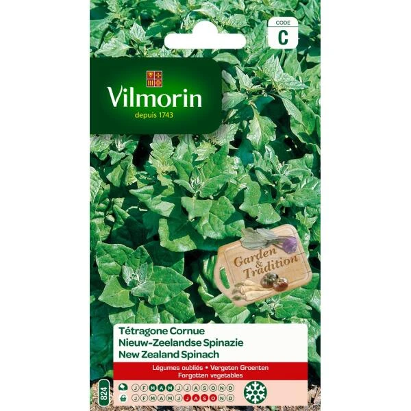 Nieuw Zeelandse Spinazie 3 Nieuw Zeelandse Spinazie