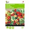 Oost-Indische Kers Jewel Of Africa - Tropaeolum Majus 1 Oost-Indische Kers Jewel Of Africa - Tropaeolum Majus -DCM Verkoopwinkel oostindische kers jewel of africa tropaeolum majus 1646840323 263 600