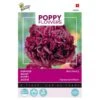 Papaver Black Paeony 2 Papaver Black Paeony -DCM Verkoopwinkel papaver black paeony 1646840389 1612 600