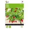 Peper Biquinho - Capsicum Chinense 1 Peper Biquinho - Capsicum Chinense -DCM Verkoopwinkel peper biquinho capsicum chinense 1646840383 1526 600