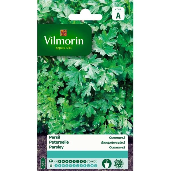 Peterselie Bladpeterselie 2 3 Peterselie Bladpeterselie 2