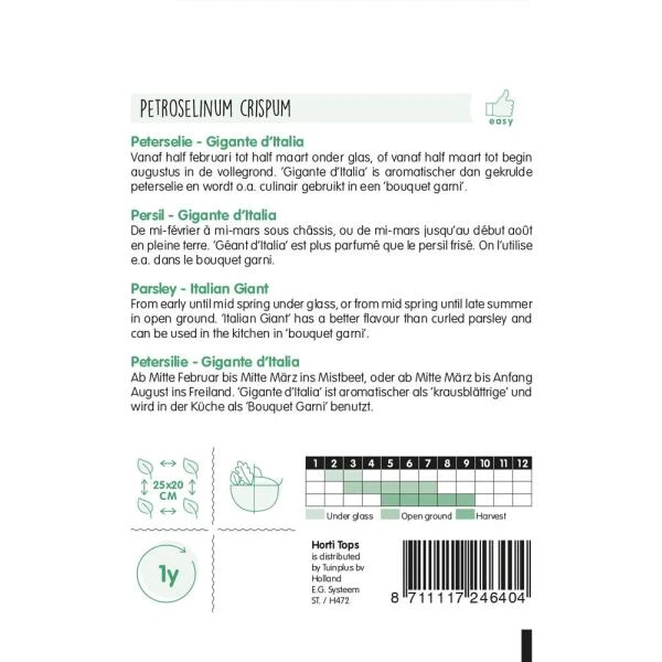 Peterselie Gigante DItalia - Petroselinum Crispum 4 Peterselie Gigante DItalia - Petroselinum Crispum - Afbeelding 2