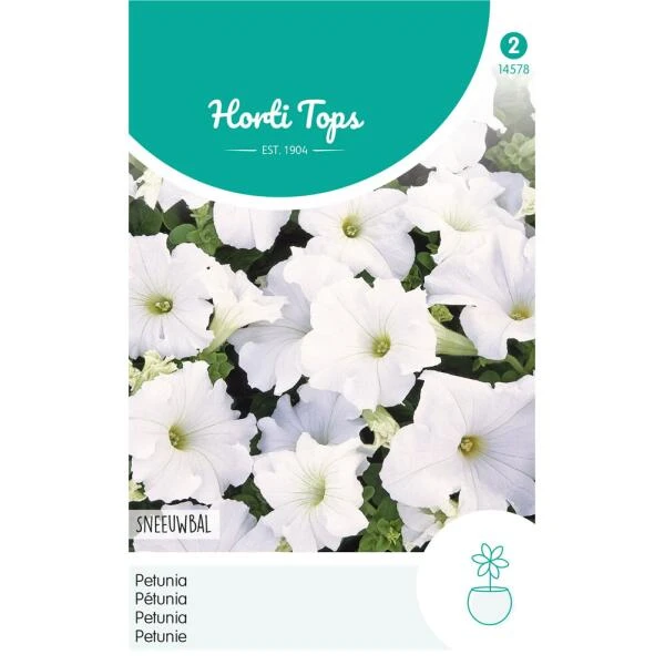 Petunia Sneeuwbal - Petunia Nana Compacta 3 Petunia Sneeuwbal - Petunia Nana Compacta