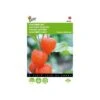 Physalis Alkekengi (oranje Lampionnetjes) 2 Physalis Alkekengi (oranje Lampionnetjes) -DCM Verkoopwinkel physalis alkekengi oranje lampionnetjes 1646840337 557 600