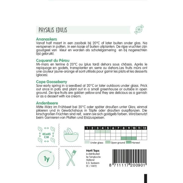 Physalis Peruviana - Ananaskers 4 Physalis Peruviana - Ananaskers - Afbeelding 2
