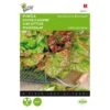 Pluksla Amerikaanse Roodrand - Lactuca Sativa 1 Pluksla Amerikaanse Roodrand - Lactuca Sativa -DCM Verkoopwinkel pluksla amerikaanse roodrand lactuca sativa 1646840314 57 600