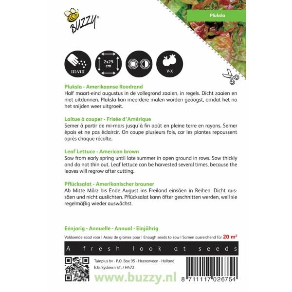 Pluksla Amerikaanse Roodrand - Lactuca Sativa 4 Pluksla Amerikaanse Roodrand - Lactuca Sativa - Afbeelding 2