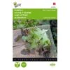Pluksla Rode Eikenblad - Lactuca Sativa 2 Pluksla Rode Eikenblad - Lactuca Sativa -DCM Verkoopwinkel pluksla rode eikenblad lactuca sativa 1646840320 195 600