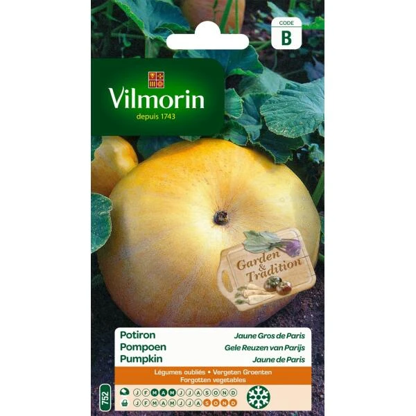 Pompoen Gele Reuzen Van Parijs 3 Pompoen Gele Reuzen Van Parijs