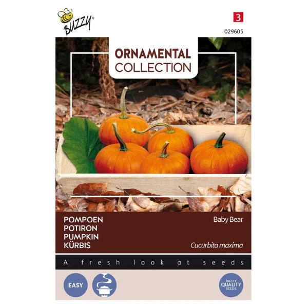Pompoen Kalebas Baby Bear 3 Pompoen Kalebas Baby Bear