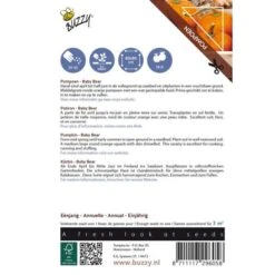 Pompoen Kalebas Baby Bear 5 Pompoen Kalebas Baby Bear -DCM Verkoopwinkel pompoen kalebas baby bear 1646840338 590 600