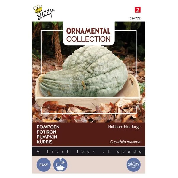 Pompoen Kalebas Large Blue Hubbard 3 Pompoen Kalebas Large Blue Hubbard