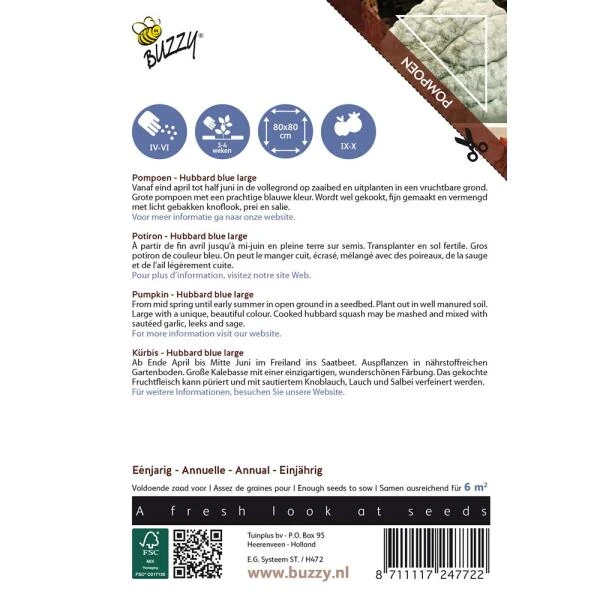 Pompoen Kalebas Large Blue Hubbard 4 Pompoen Kalebas Large Blue Hubbard - Afbeelding 2