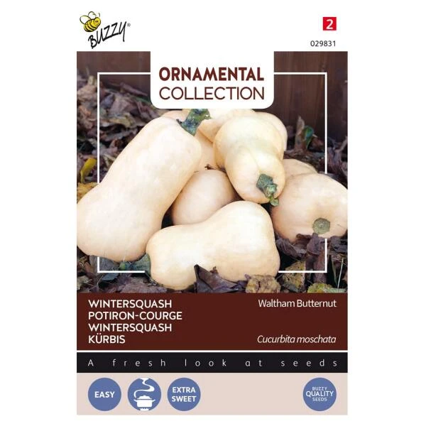 Pompoen Kalebas Waltham Butternut 3 Pompoen Kalebas Waltham Butternut