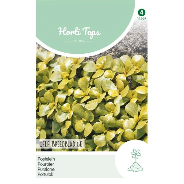Postelein Gele Breedbladige - Portulaca Oleracea 3 Postelein Gele Breedbladige - Portulaca Oleracea