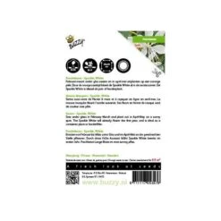 Prachtkaars - Gaura Sparkle White 5 Prachtkaars - Gaura Sparkle White -DCM Verkoopwinkel prachtkaars gaura sparkle white 1646840393 1705 600