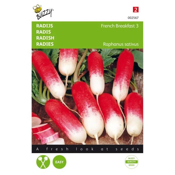 Radijs Halflange Rode Groot Witpunt - Raphanus Sativus 3 Radijs Halflange Rode Groot Witpunt - Raphanus Sativus