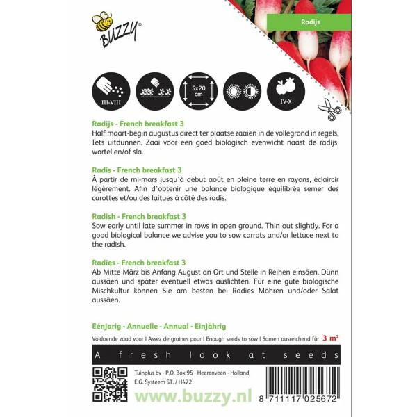 Radijs Halflange Rode Groot Witpunt - Raphanus Sativus 4 Radijs Halflange Rode Groot Witpunt - Raphanus Sativus - Afbeelding 2