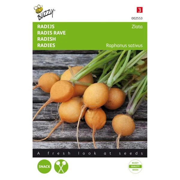 Radijs Zlata - Gele Radijs 3 Radijs Zlata - Gele Radijs