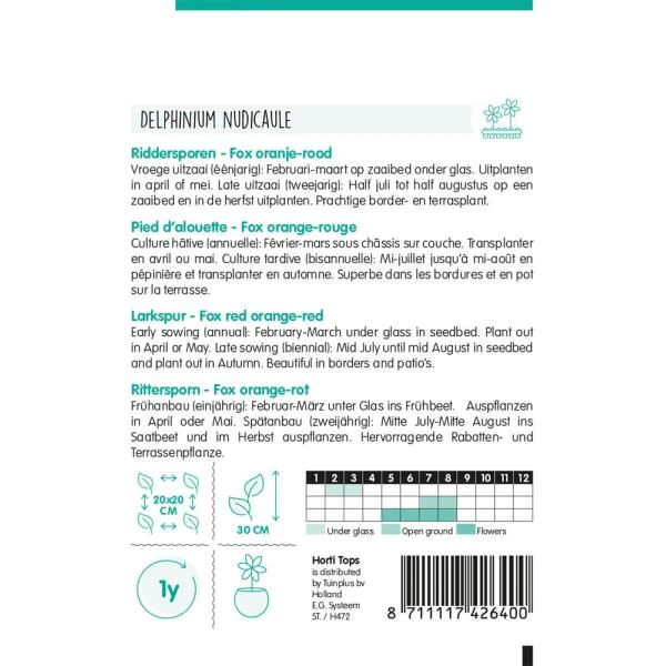 Ridderspoor - Delphinium Nudicaule 4 Ridderspoor - Delphinium Nudicaule - Afbeelding 2