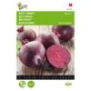 Rode Bieten Kogel 2 - Beta Vulgaris -DCM Verkoopwinkel rode bieten kogel 2 beta vulgaris 1646840315 77 600